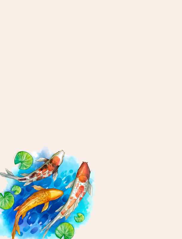 Aqua royale - ikan Koi no1 di Malaysia - Category image 1
